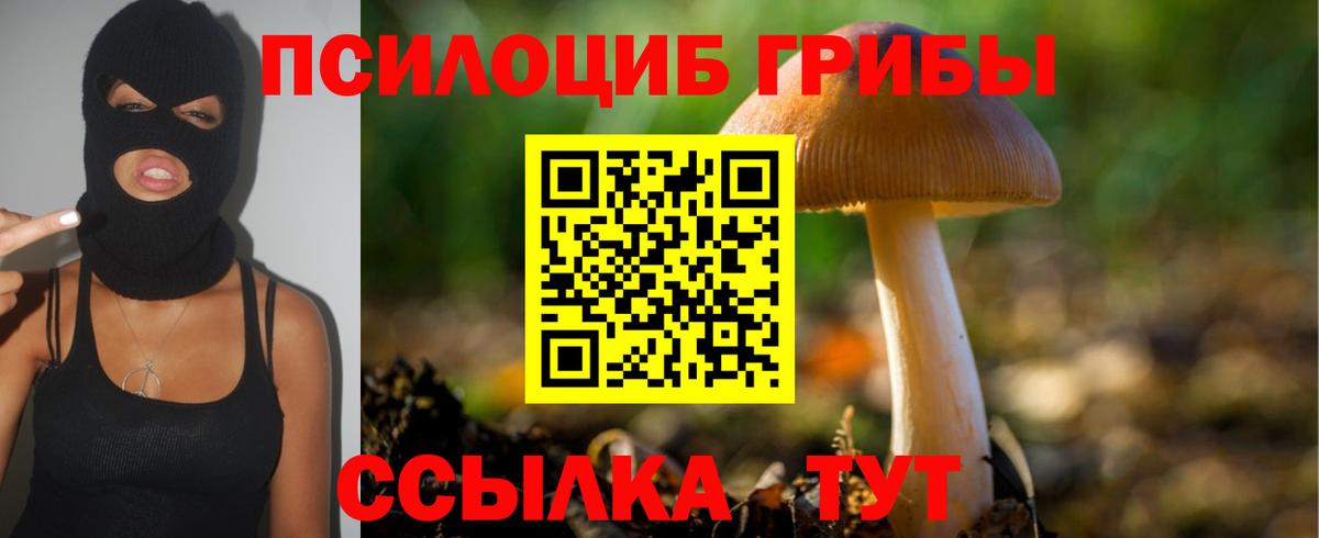 Псилоцибиновые грибы Psilocybe  где можно купить наркотик  Богородск  Вход с VPN 
